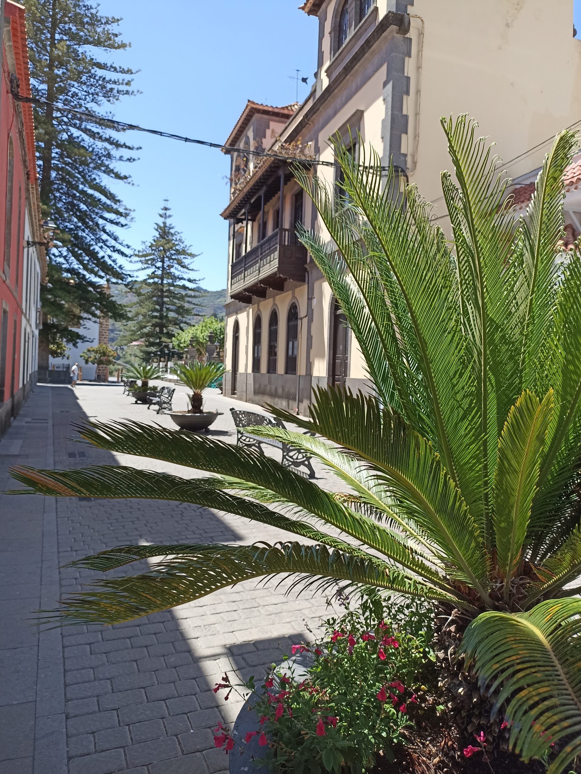 Blick_Gran_Canaria_Private_Tours_and_Shore_Excursions_Teror_top_gran_canaria_nice_villages