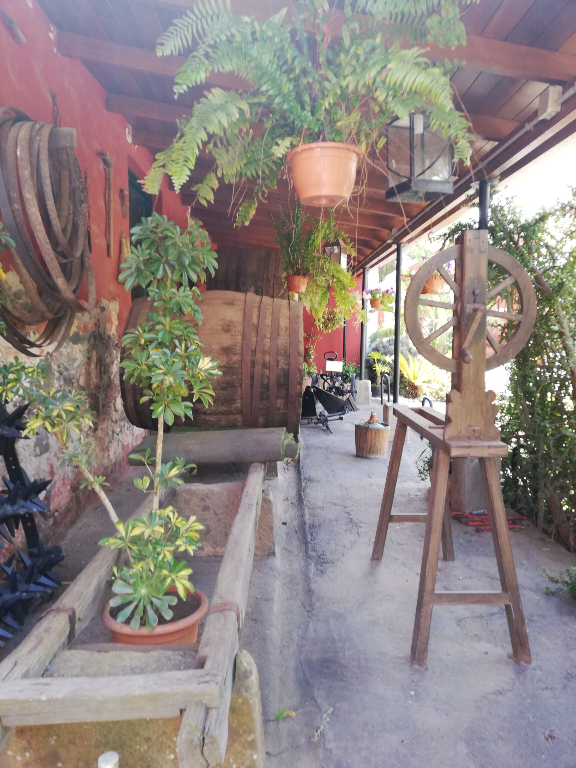 Blick_Gran_Canaria_private_tour_and_excursions_volcanoes_and_wine_region_tour_bodegas_san_juan__patio