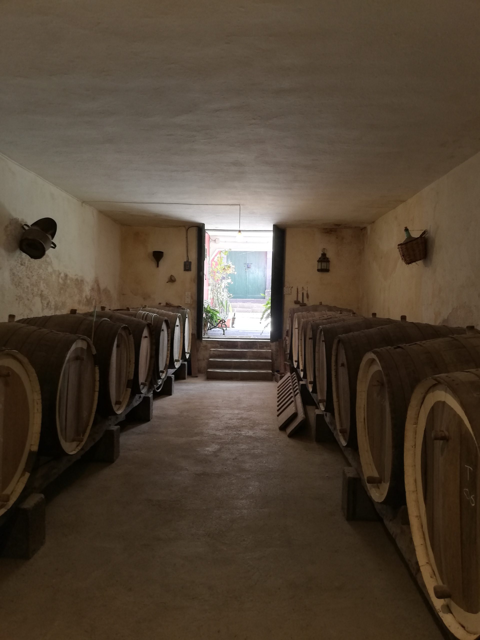 Blick_Gran_Canaria_private_tour_and_excursions_volcanoes_and_wine_tour_bodegas_san_juan_cellar_gran_canaria