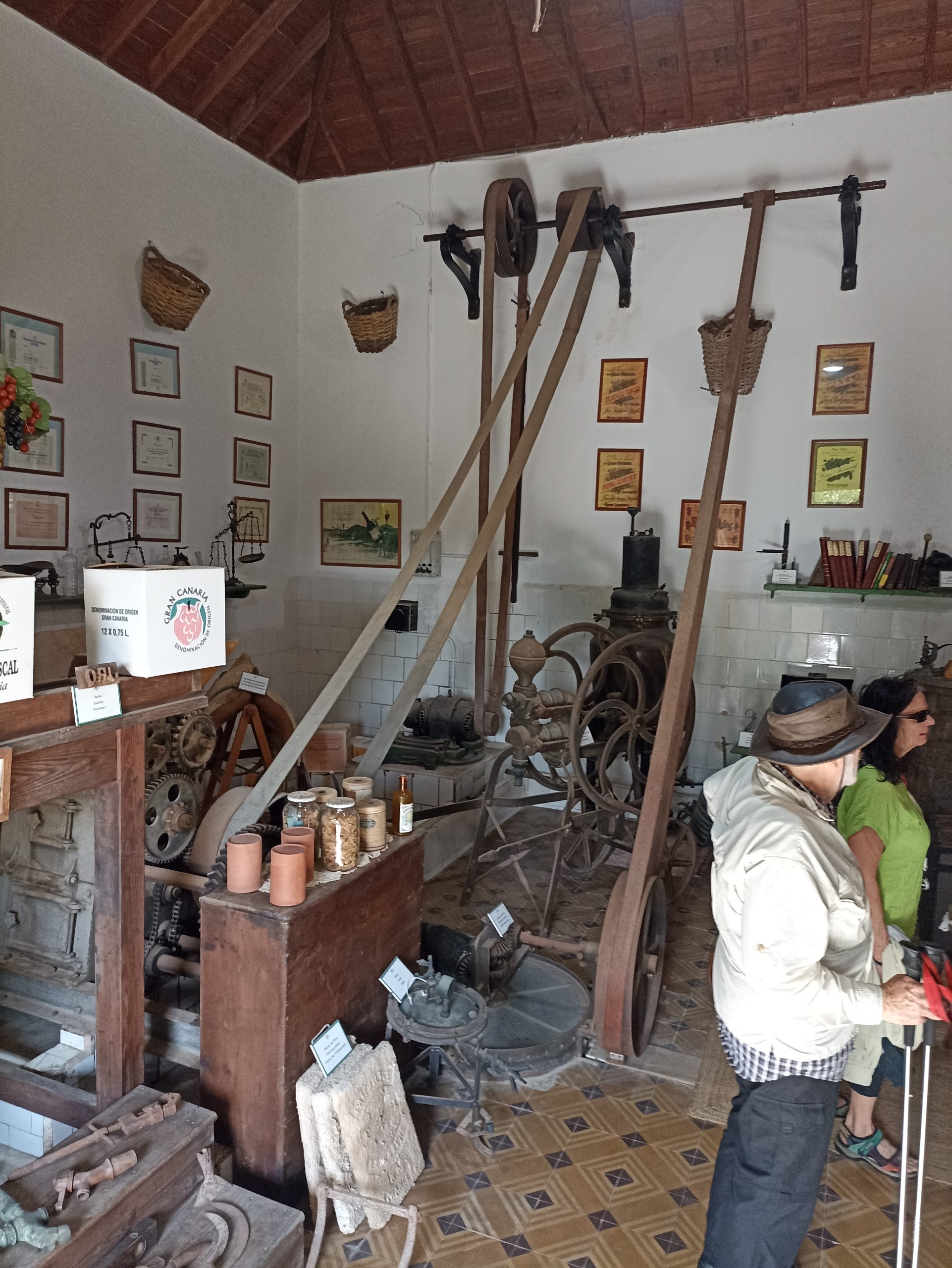 Blick_Gran_Canaria_private_tour_and_excursions_volcanoes_and_wine_tour_bodegas_san_juan_wine_cellar__shore_excursion