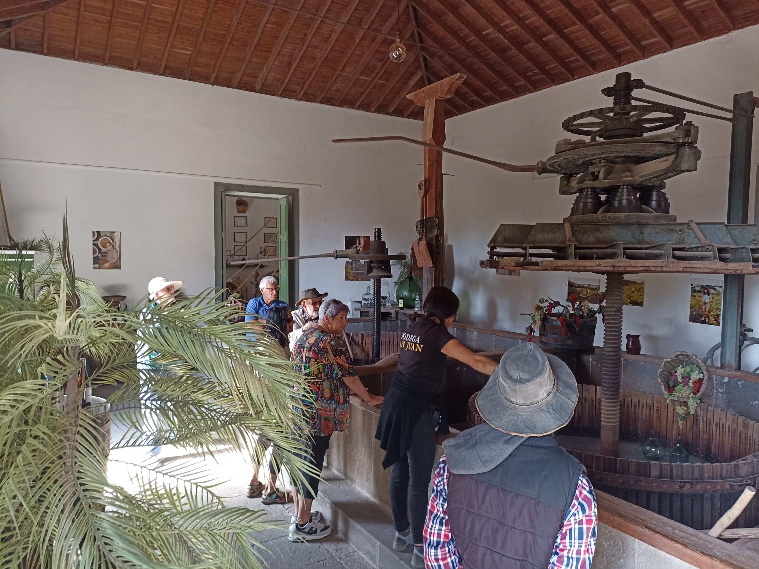 Blick_Gran_Canaria_private_tour_and_excursions_volcanoes_and_wine_tour_bodegas_san_juan_wine_museum_gran_canaria
