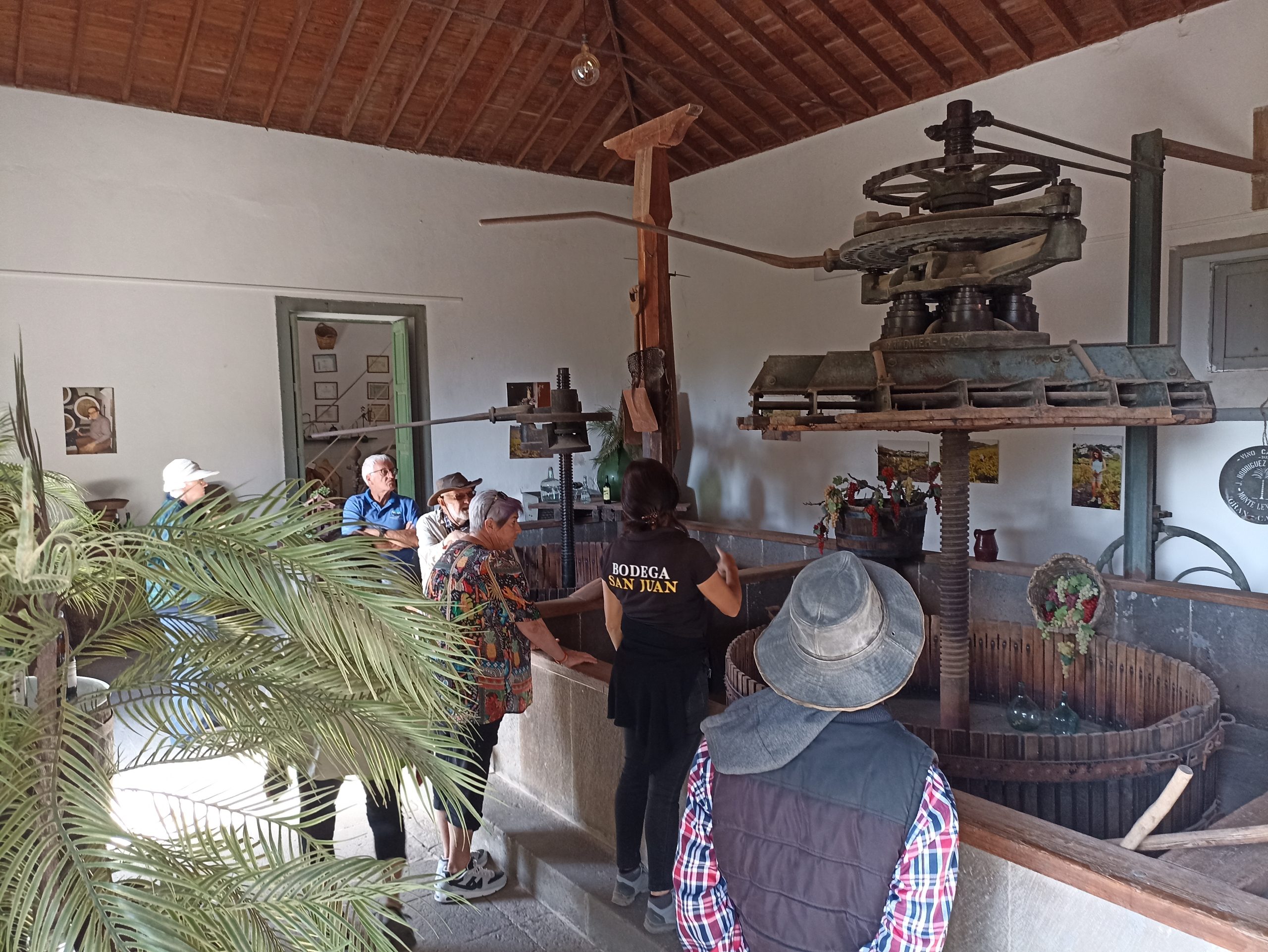 Blick_Gran_Canaria_private_tour_and_excursions_volcanoes_and_wine_tour_bodegas_san_juan_wine_tasting_gran_canaria_shore_excursions