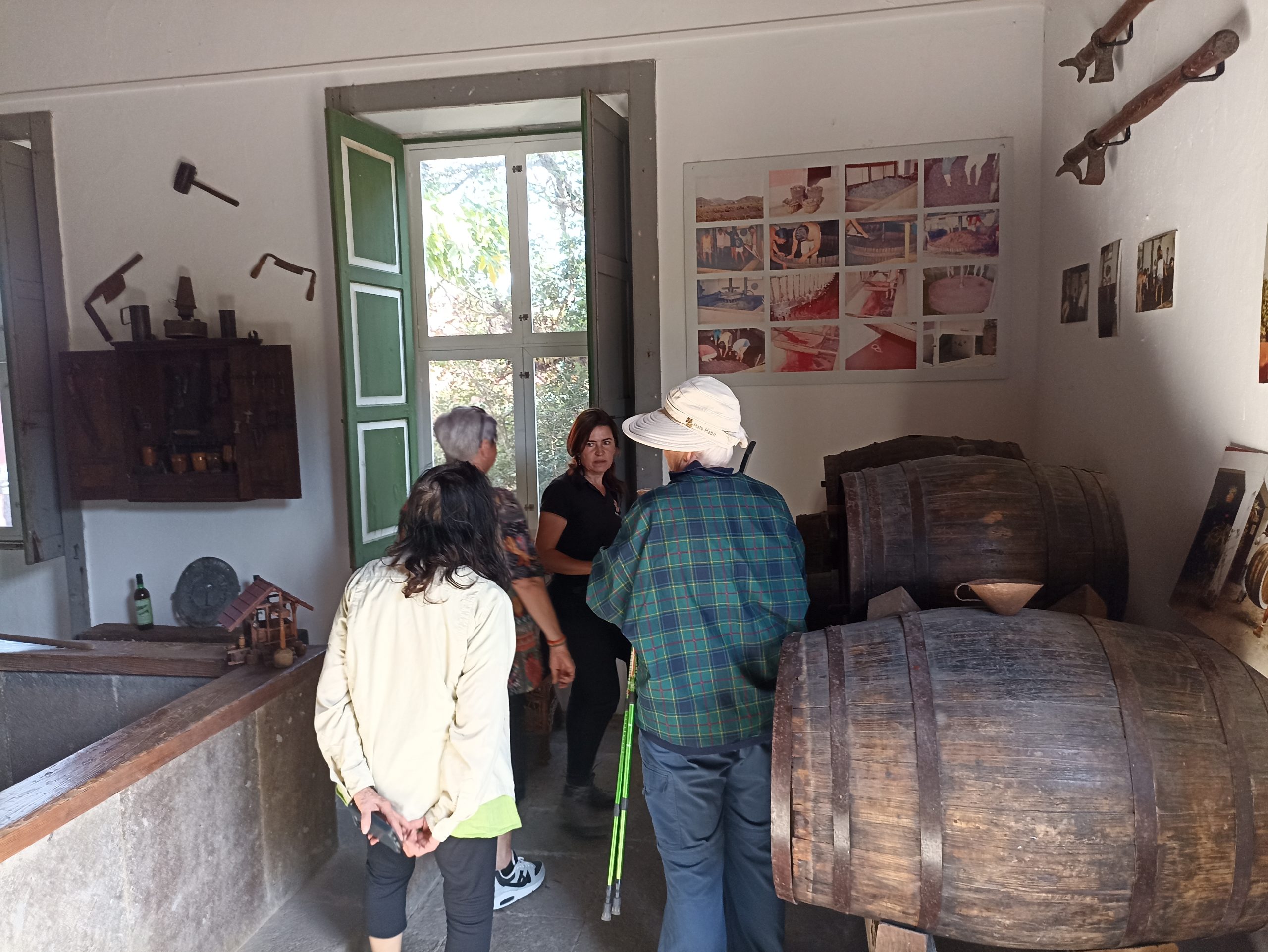 Blick_Gran_Canaria_private_tour_and_excursions_volcanoes_and_wine_tour_bodegas_san_juan_winery_tour