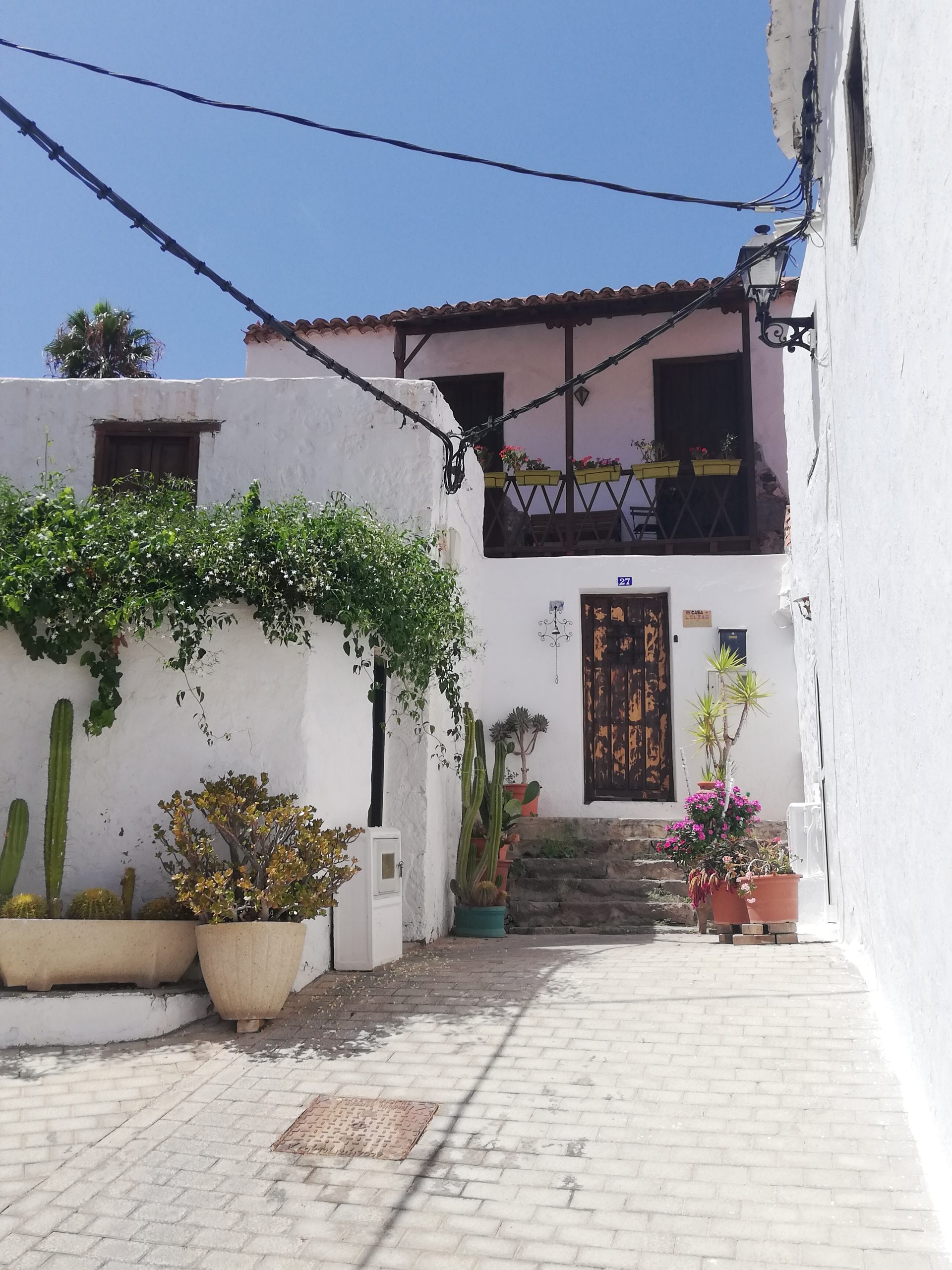 Blick_Gran_Canaria_private_tour_excursions_fataga_gran_canaria_shore_excursions