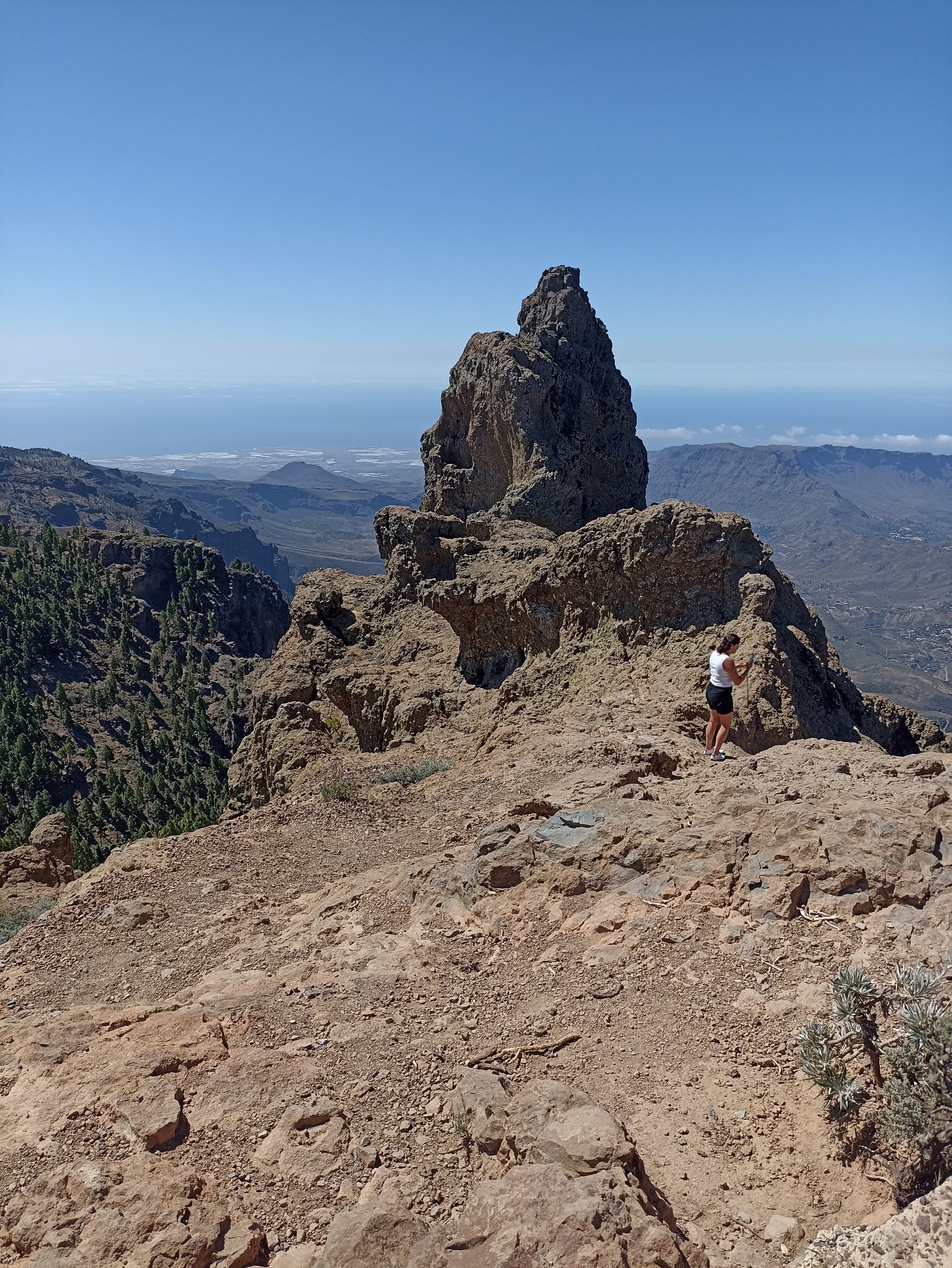 Blick_Gran_Canaria_private_tour_shore_excursions_sacred_peaks_Pico_de_las_Nieves_landscape_gran_canaria_nature_top_things_to_do