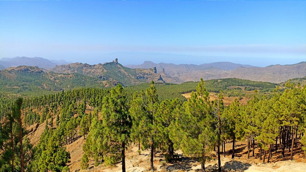Blick_Gran_Canaria_private_tour_shore_excursions_sacred_peaks_Pico_de_las_Nieves_landscape_gran_canaria_view