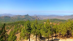 Blick_Gran_Canaria_private_tour_shore_excursions_sacred_peaks_Pico_de_las_Nieves_landscape_gran_canaria_view