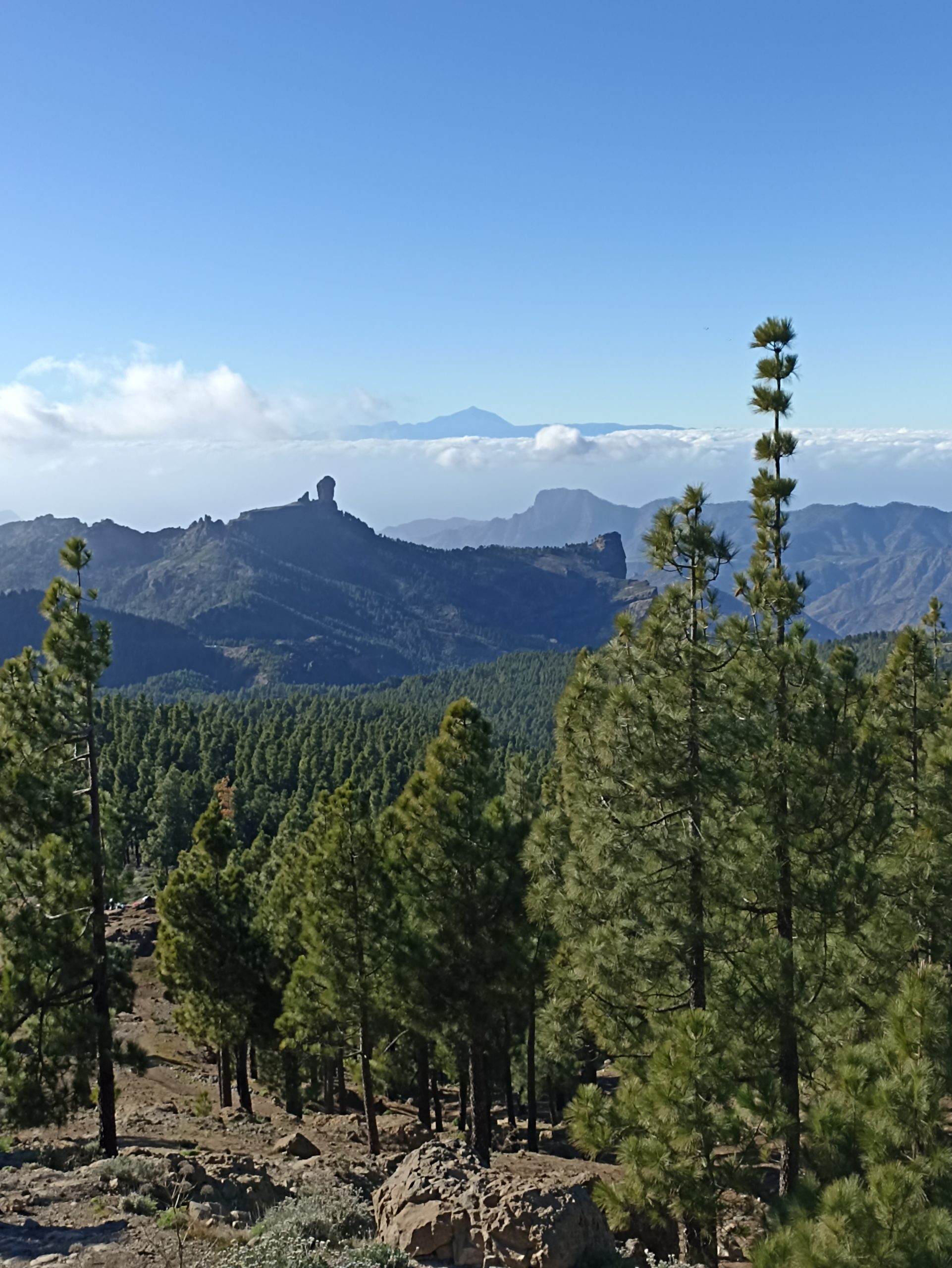 Blick_Gran_Canaria_private_tour_shore_excursions_sacred_peaks_Pico_de_las_Nieves_landscape_roque_nublo_teide_gran_canaria_nature