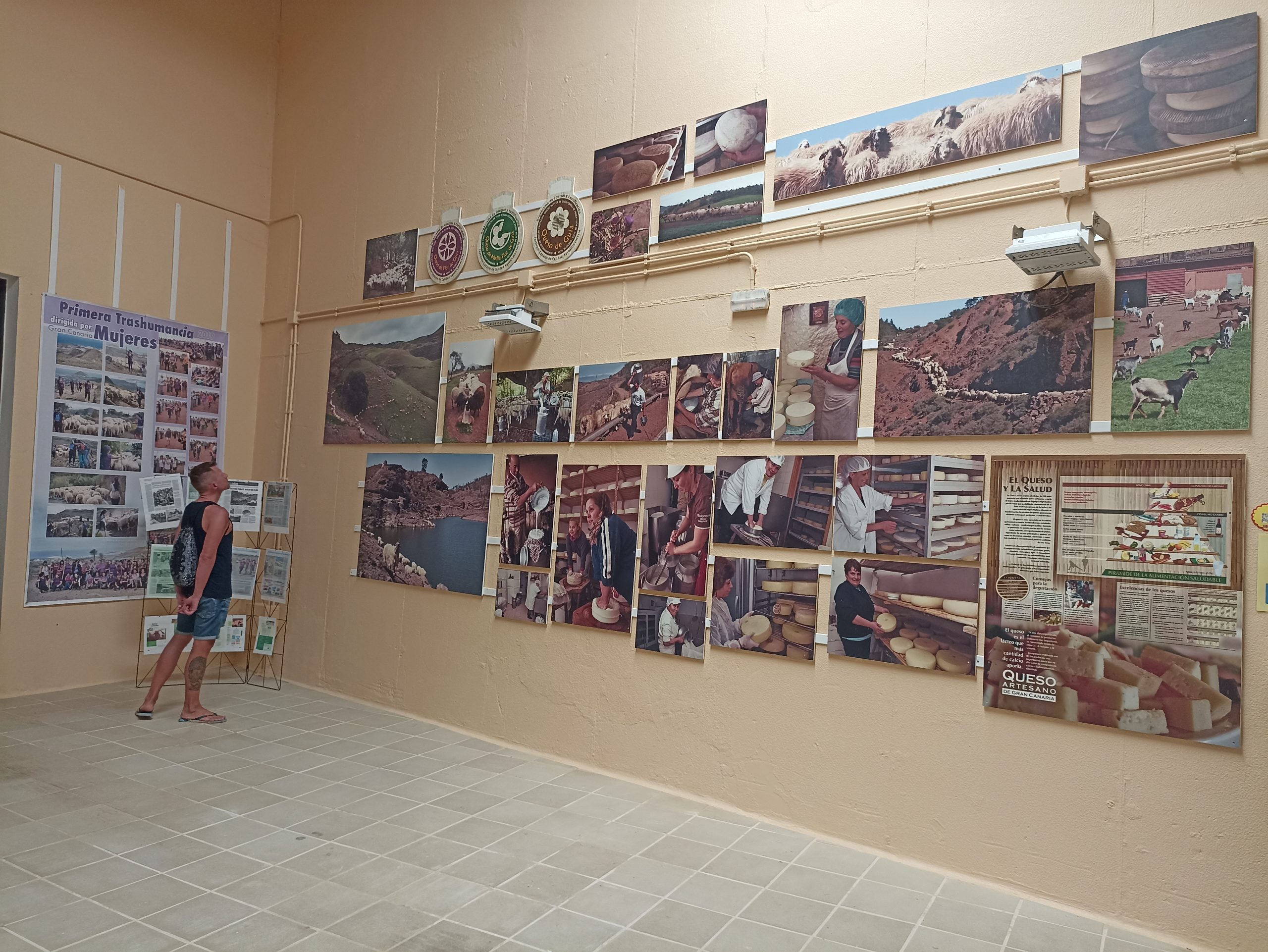 Blick_Gran_Canaria_private_tours_Gran_Canaria_shore_excursions_santa_maria_de_guia_queso_flor_museo_queso (6)