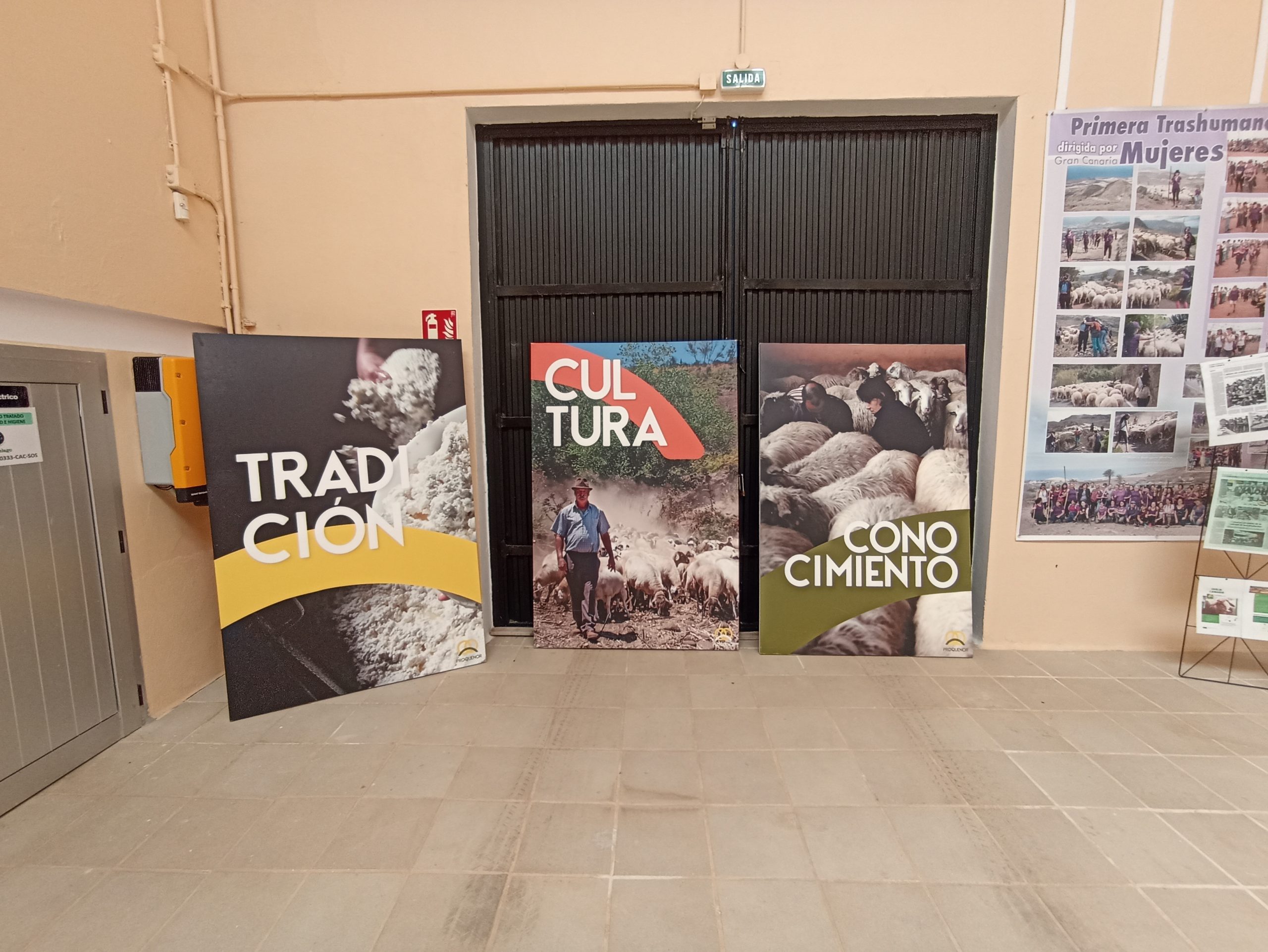 Blick_Gran_Canaria_private_tours_Gran_Canaria_shore_excursions_santa_maria_de_guia_queso_museo_queso