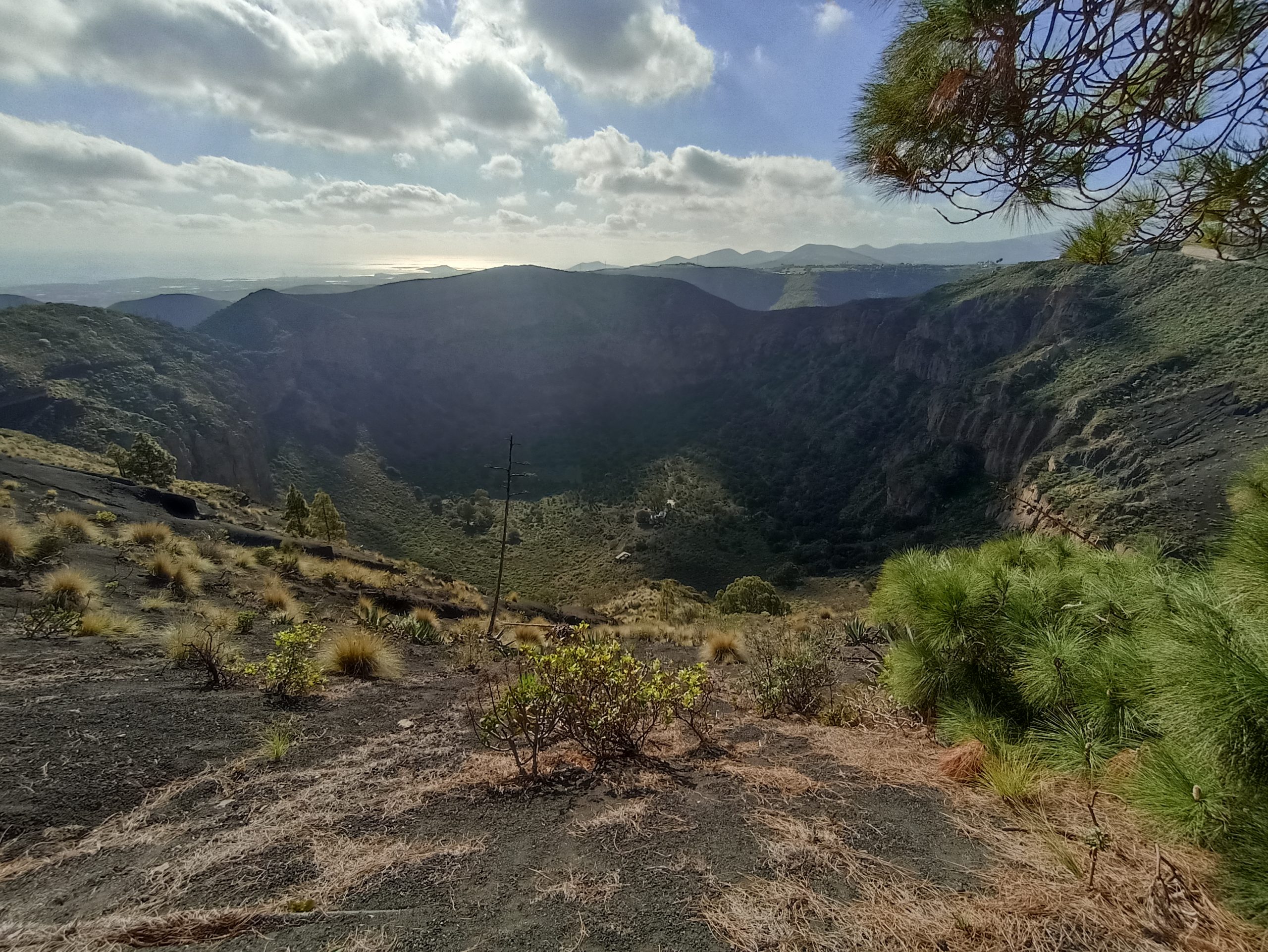 Blick_Gran_Canaria_private_tours_and_excursions_caldera_de_bandama_volcanoes_and_wine_tour
