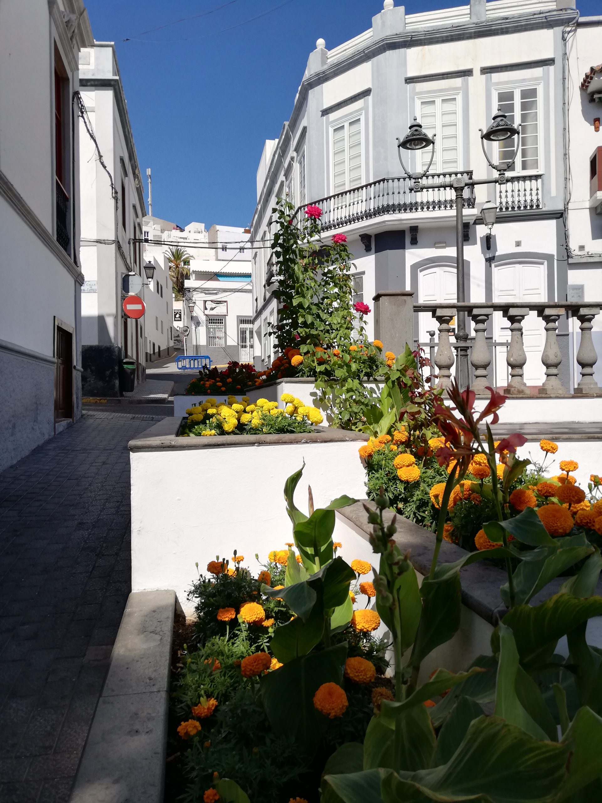Blick_Gran_Canaria_private_tours_excursions_agaete_puerto_de_las_nieves_square