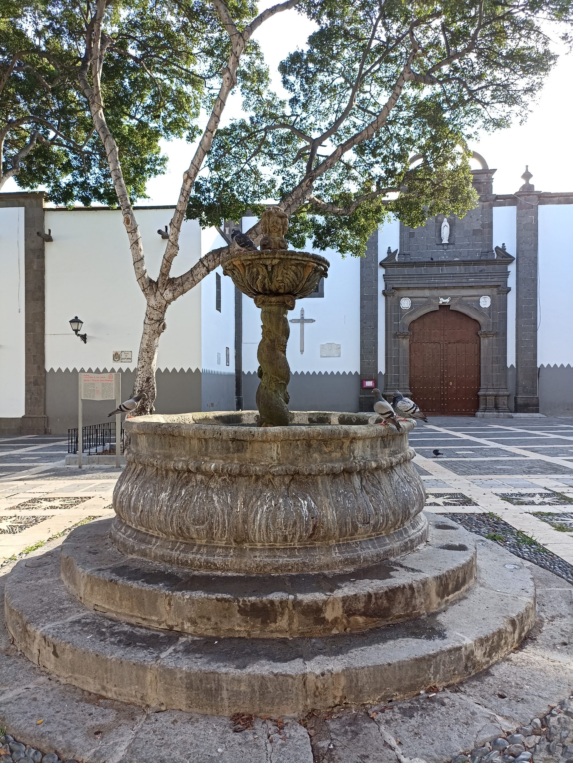 Blick_Gran_Canaria_vegueta_las_palmas_plaza_de_santo_domingo_private_tour_shore_excursions