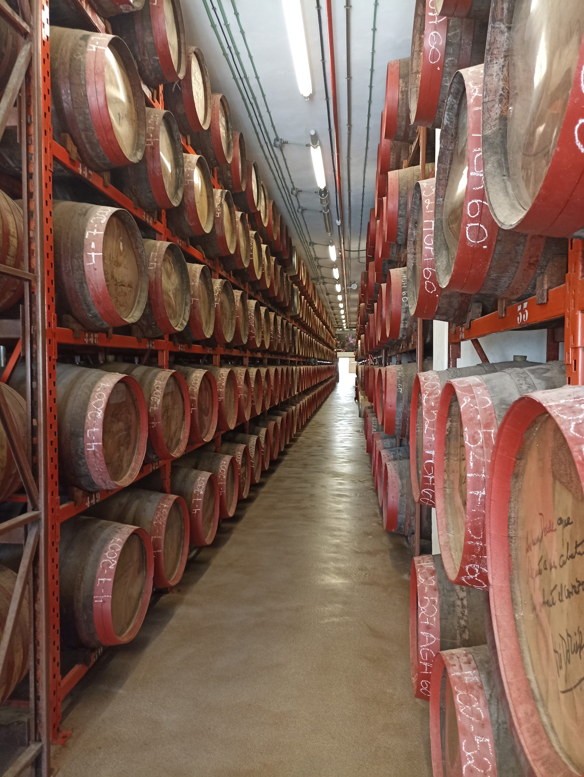 Blick_gran_canaria_private_tours_shore_excursions _ron_arehucas_tour_Gran_Canaria_rum