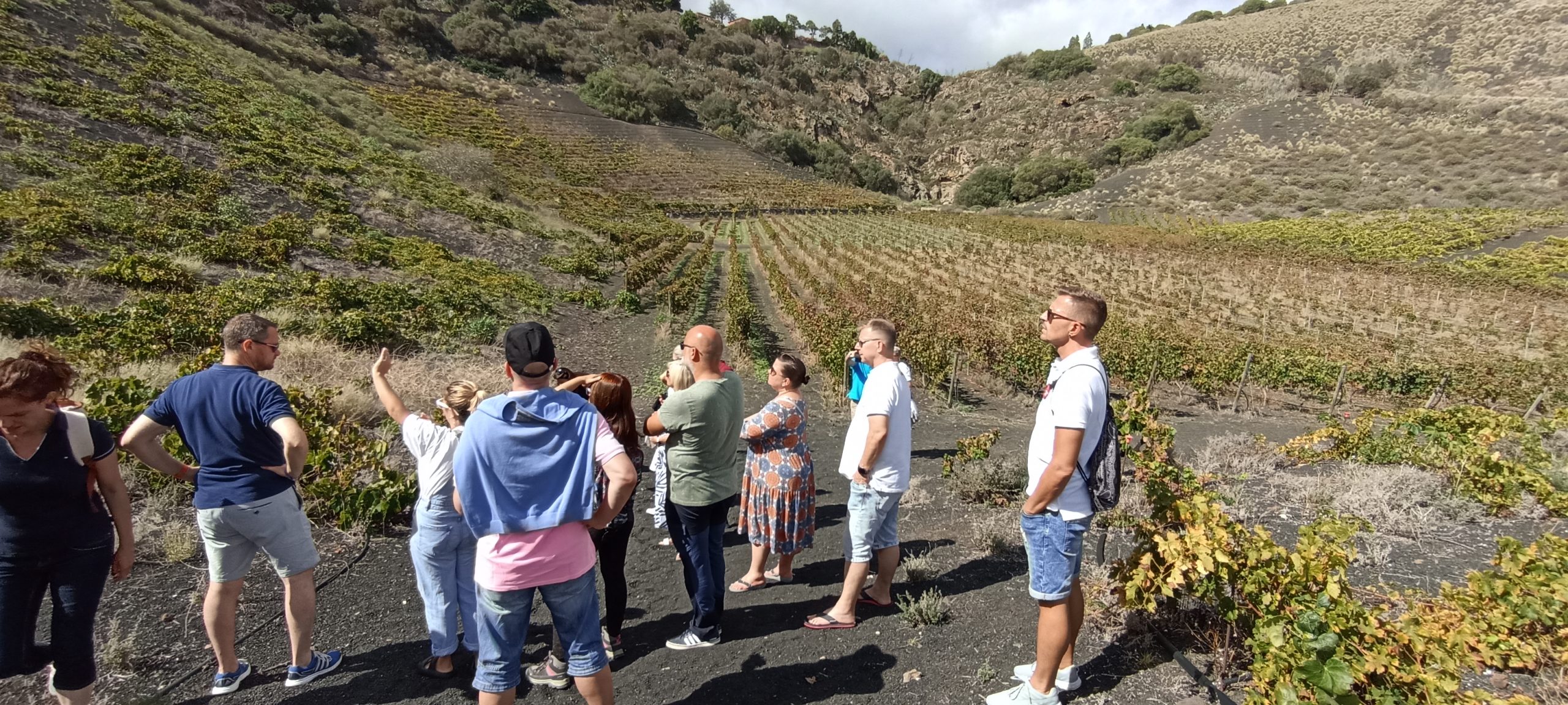 Wine Tasting in Gran Canaria: A Shore Excursion for Food & Wine Lovers